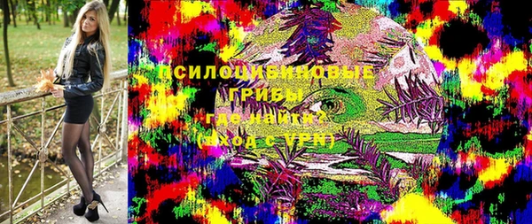 СК Аркадак