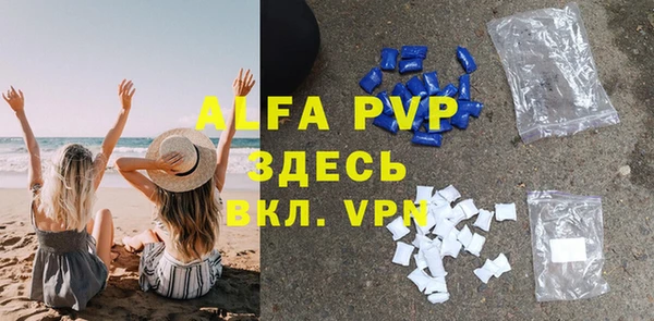 СК Аркадак