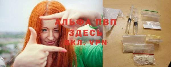 СК Аркадак