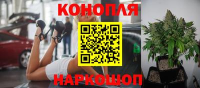 трава Брянск