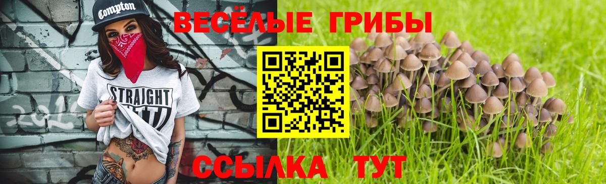 Псилоцибиновые грибы ЛСД  Псилоцибиновые грибы прущие грибы  Аша  Вход с VPN 